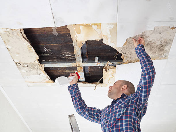 Mold Removal for HVAC Installations